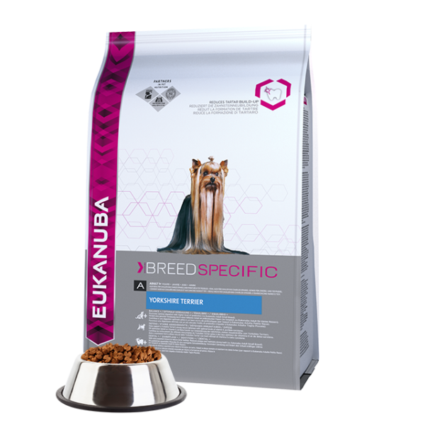 Eukanuba Breed Specific – Yorkshire Terrier