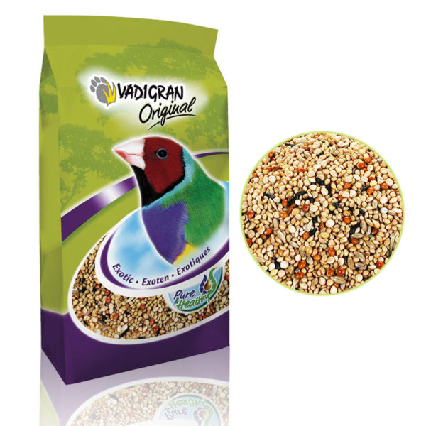 Vadigran 'Original Exotic'