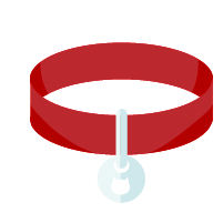 Cat Collar