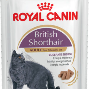 ROYAL CANIN wet - Adult / British Shorthair