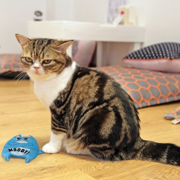 Kong Cat Refillables Purrsonality Moody for Catnip - Image 3