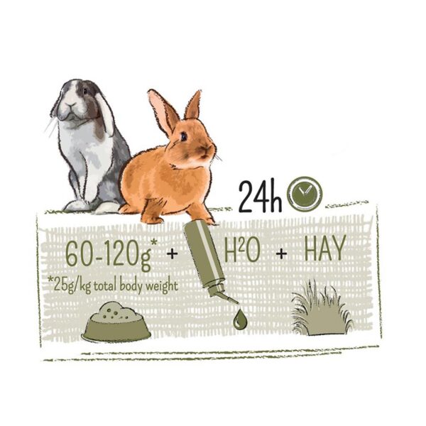 Witte Molen Puur Rabbit - Image 2