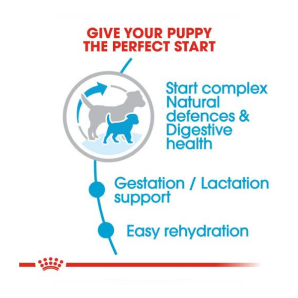 Royal Canin Mini Starter M&B 1kg, 3kg, 8.5kg - Image 3