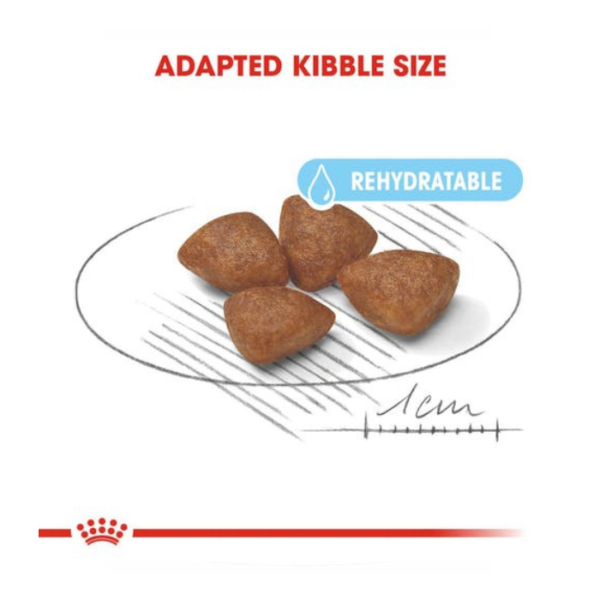 Royal Canin Mini Starter M&B 1kg, 3kg, 8.5kg - Image 2