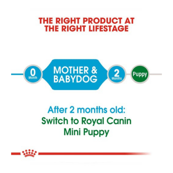 Royal Canin Mini Starter M&B 1kg, 3kg, 8.5kg - Image 4